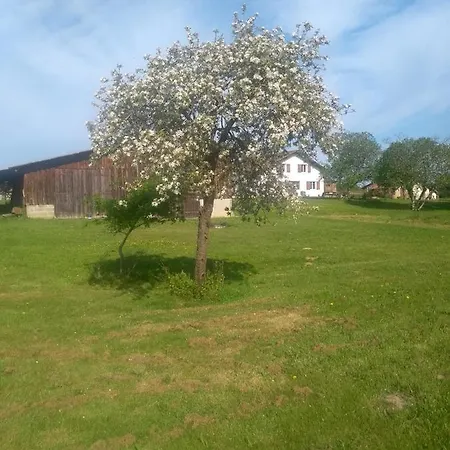 La Maison De Pescate 3* Souprosse